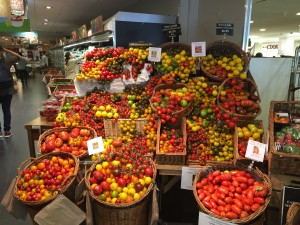 sa_1498212170IMG_2327