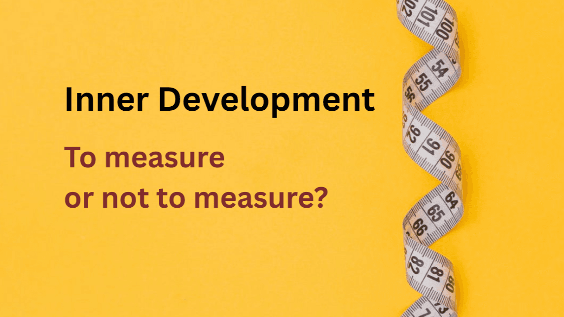 Inner Development Goals: To Measure or Not to Measure?