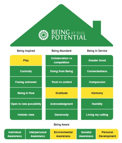 Figure 1 — Team Human Potential House showing the team's collective profile across Being, Relating, Thinking and Doing dimensions