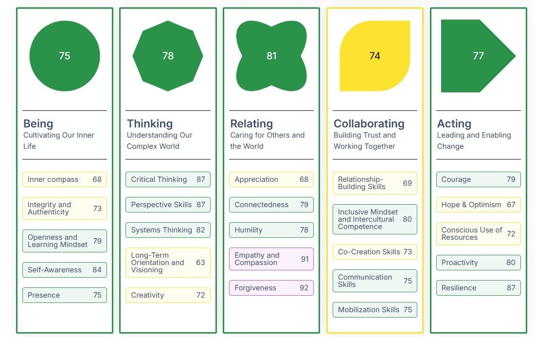 IDG Framework — 5 dimensions: Being, Thinking, Relating, Collaborating, Acting