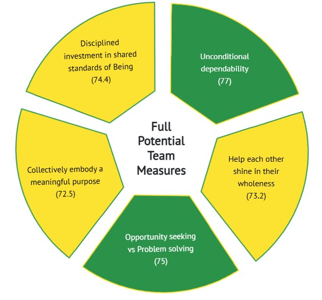 Full Potential Team Measures — 5-segment wheel diagram